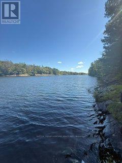 1141 Turtle Lake Road, Gravenhurst), ON photo 15