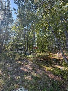 1141 Turtle Lake Road, Gravenhurst), ON photo 16