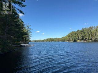 1141 Turtle Lake Road, Gravenhurst), ON photo 18
