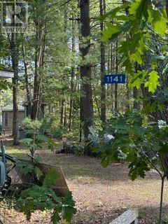1141 Turtle Lake Road, Gravenhurst), ON photo 21