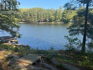 1141 Turtle Lake Road, Gravenhurst), ON photo 7