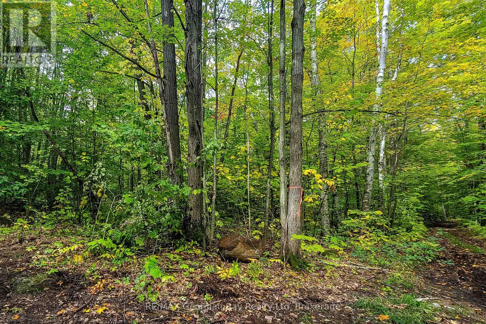 LOT 18 CONC 19 ROAD W, Tiny — photo 3