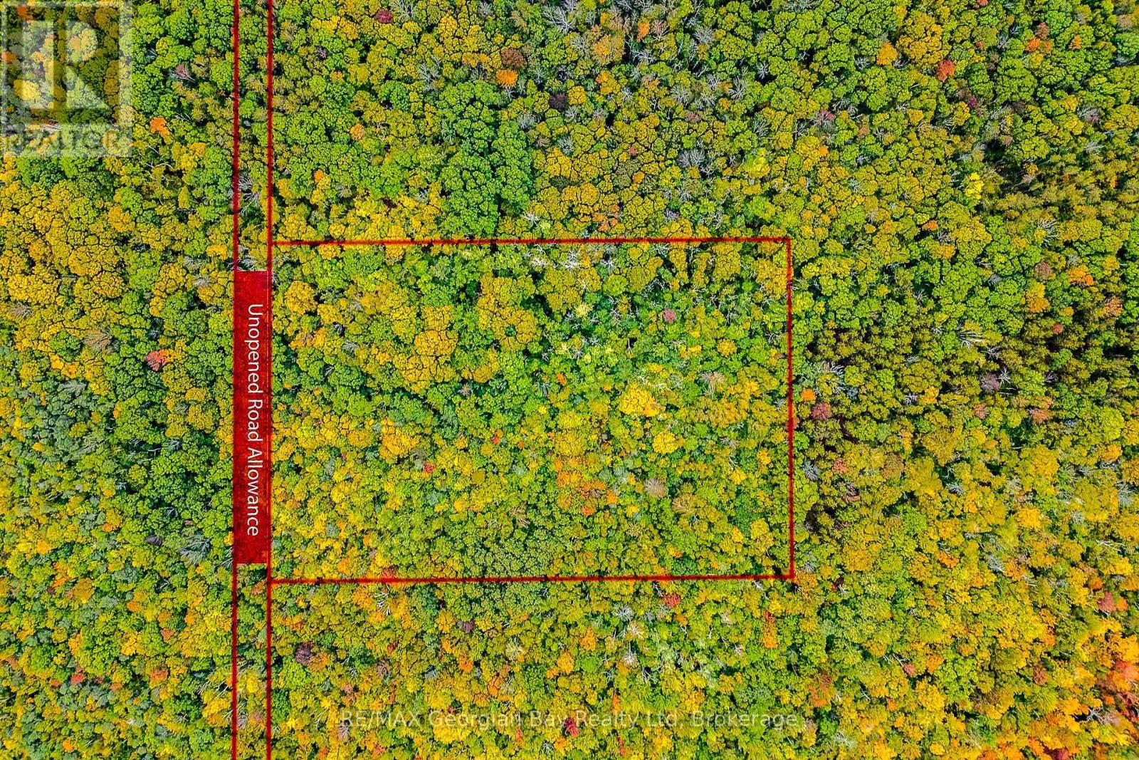 LOT 18 CONC 19 ROAD W, Tiny — photo 4