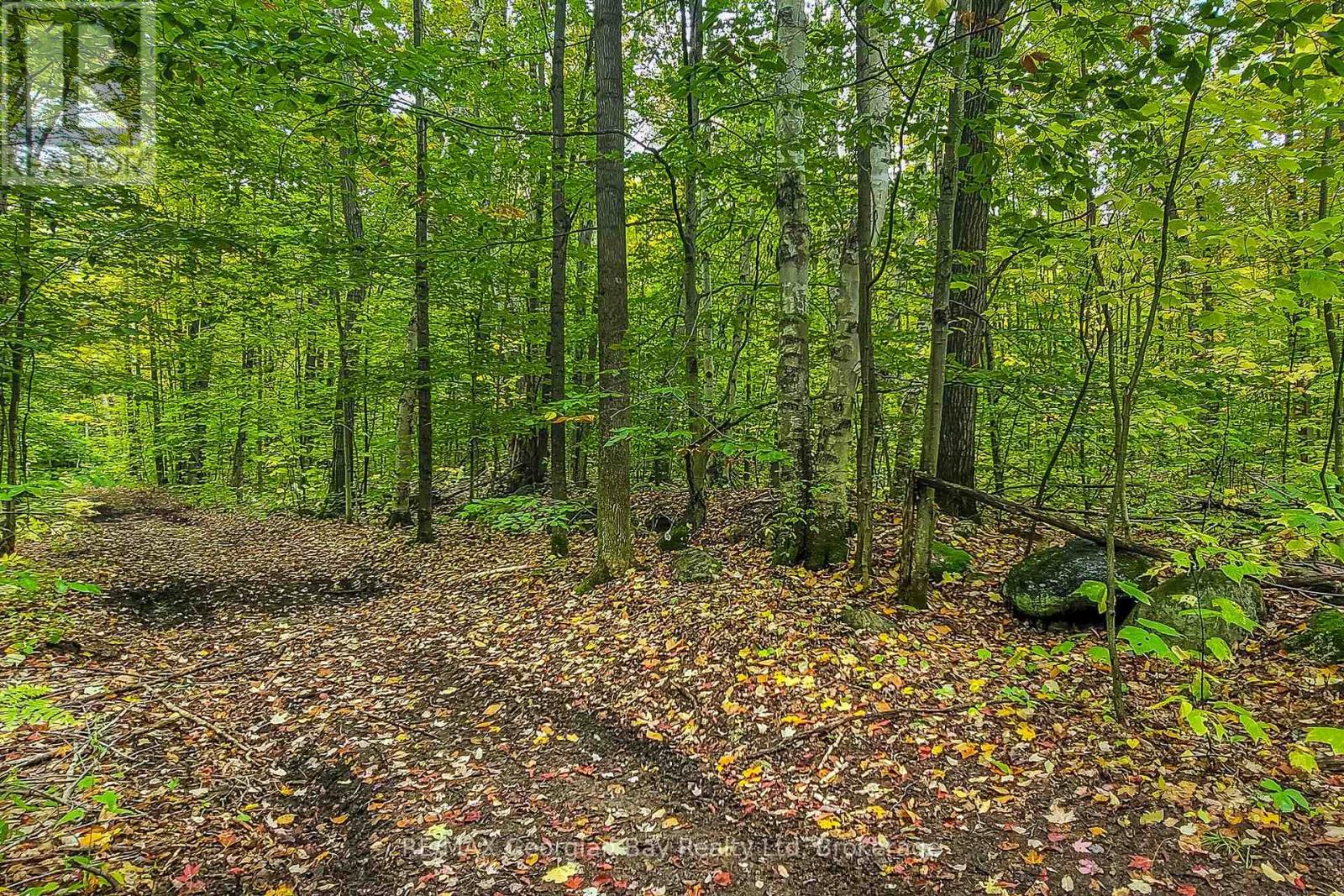 LOT 18 CONC 19 ROAD W, Tiny — photo 6