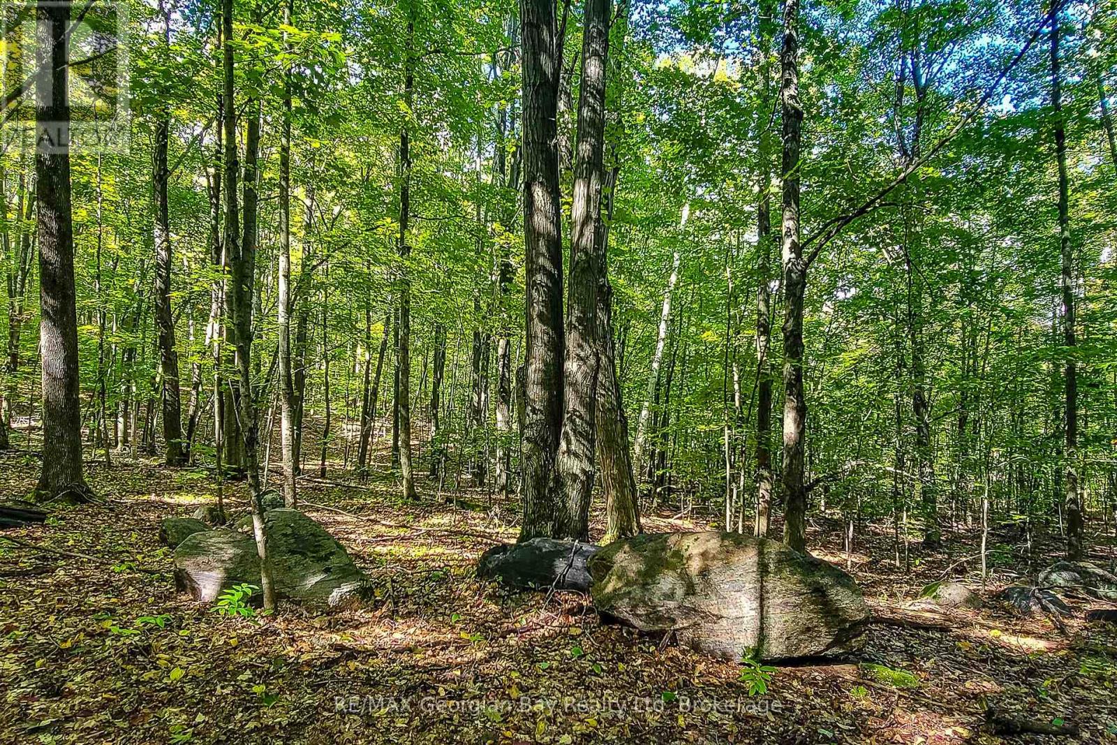 LOT 18 CONC 19 ROAD W, Tiny — photo 8