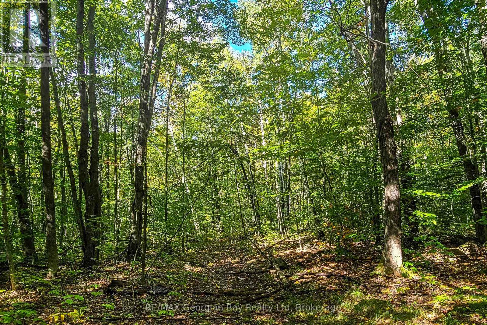 LOT 18 CONC 19 ROAD W, Tiny — photo 9