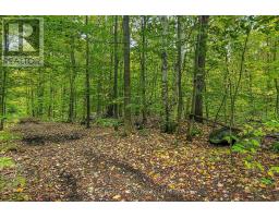 Lot 18 Conc 19 Road W, Tiny, ON L9M2H7 Photo 6