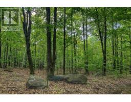 Lot 18 Conc 19 Road W, Tiny, ON L9M2H7 Photo 7