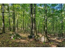 Lot 18 Conc 19 Road W, Tiny, ON L9M2H7 Photo 8