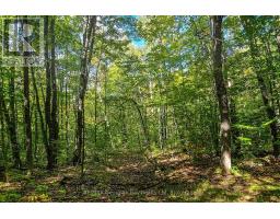 Lot 18 Conc 19 Road W, Tiny, ON L9M2H7 Photo 9