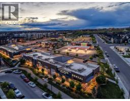 176 Seton Villas Se, Calgary, AB T3M3L9 Photo 47