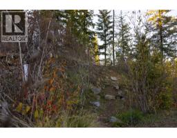 190 Twin Lakes Road, Enderby, BC V0E1V2 Photo 29