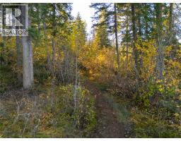 190 Twin Lakes Road, Enderby, BC V0E1V2 Photo 25