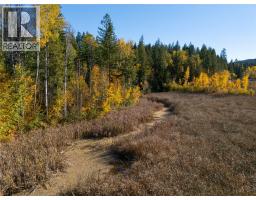 190 Twin Lakes Road, Enderby, BC V0E1V2 Photo 15