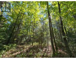 Lt 32 Pt 8 Gibbons Road, Strong, ON P0A1Z0 Photo 11