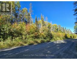 Lt 32 Pt 8 Gibbons Road, Strong, ON P0A1Z0 Photo 21