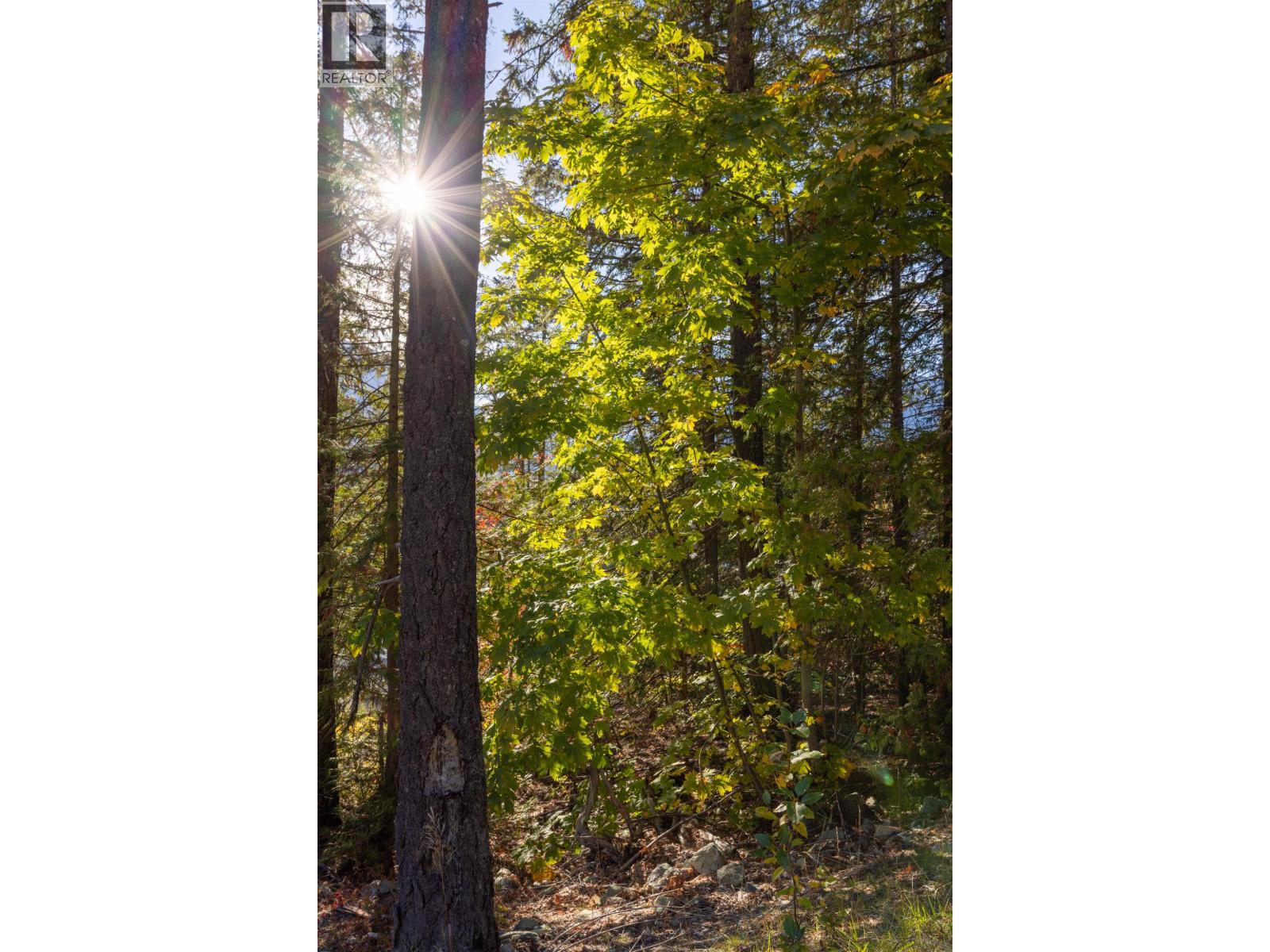 Photo of 8203 MERLOT PEAK DRIVE 23