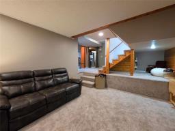39 Pearce Drive, Morden, MB R6M1R1 Photo 31