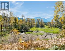 6238 Youngs Road, Winlaw, BC V0G2J0 Photo 44