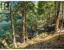 6238 Youngs Road, Winlaw, BC V0G2J0 Photo 41