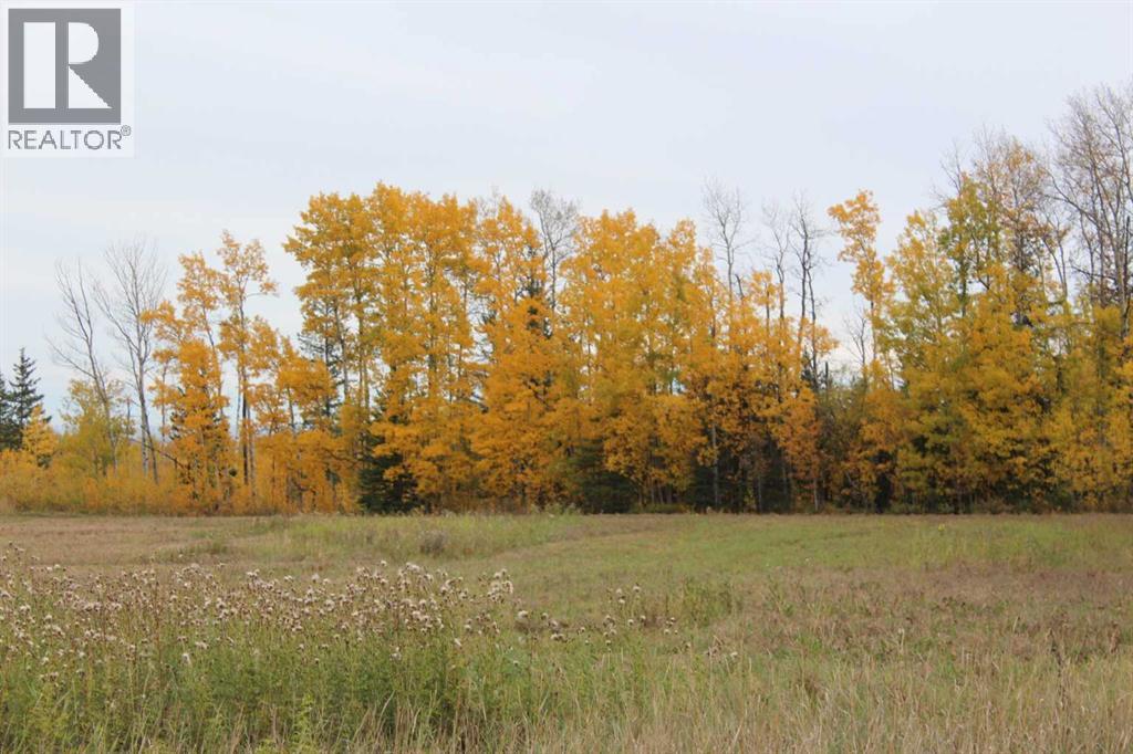 690 Hwy 234 Range, Rural Northern Lights, County of — photo 3