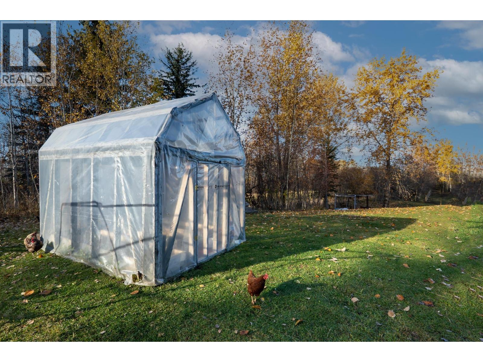 2931 SACKNER ROAD - 19