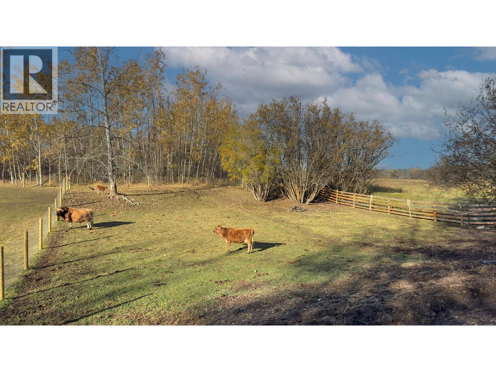 2931 SACKNER ROAD - 17