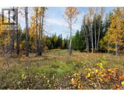 T32 Larch Hills Road, Grindrod, BC V1E2Y4 Photo 9