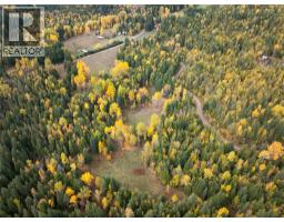 T32 Larch Hills Road, Grindrod, BC V1E2Y4 Photo 13