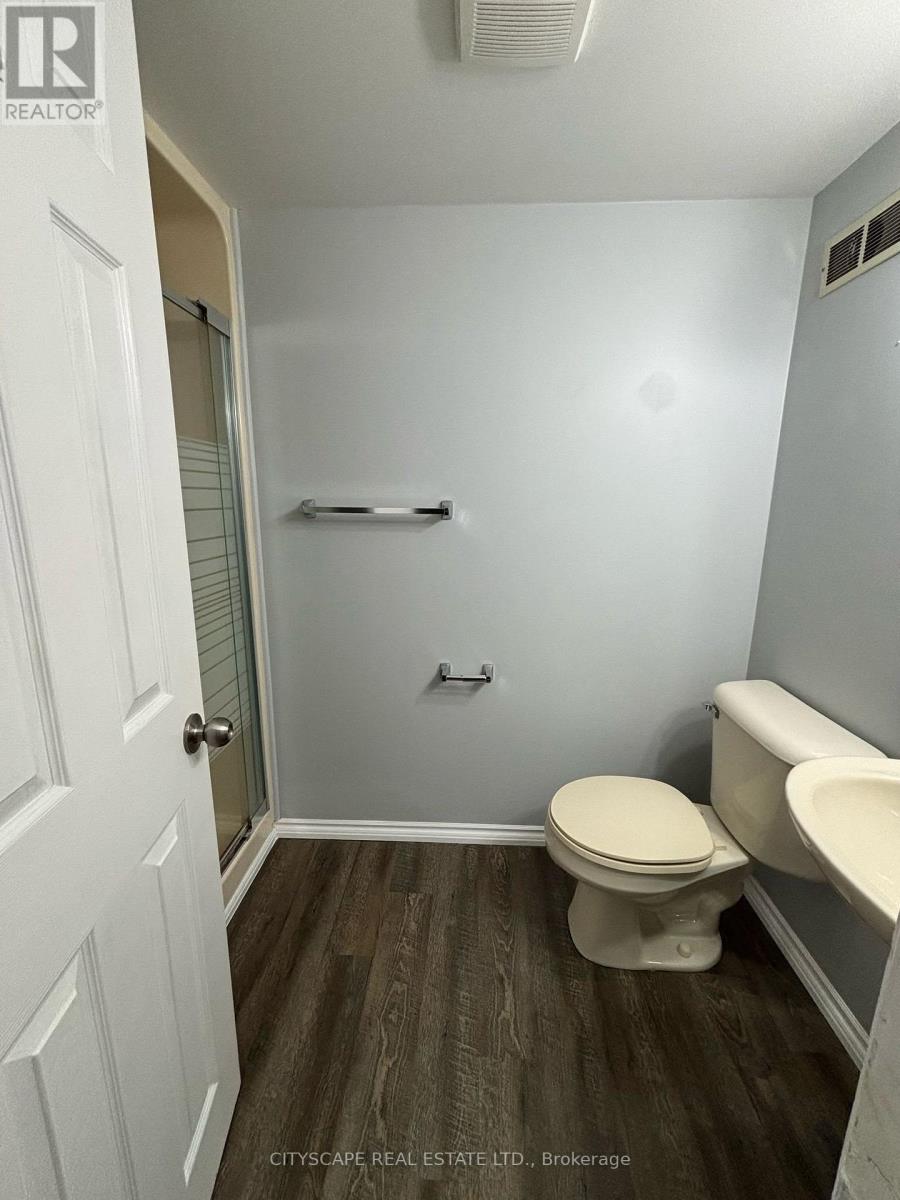 BASEMENT - 1050 APACHE ROAD, London East (East D) — photo 5
