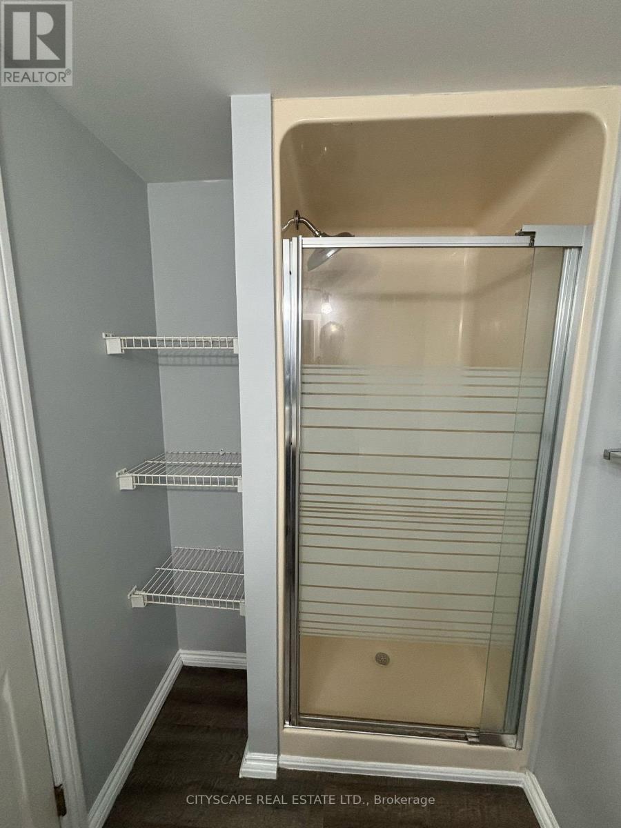 BASEMENT - 1050 APACHE ROAD, London East (East D) — photo 6