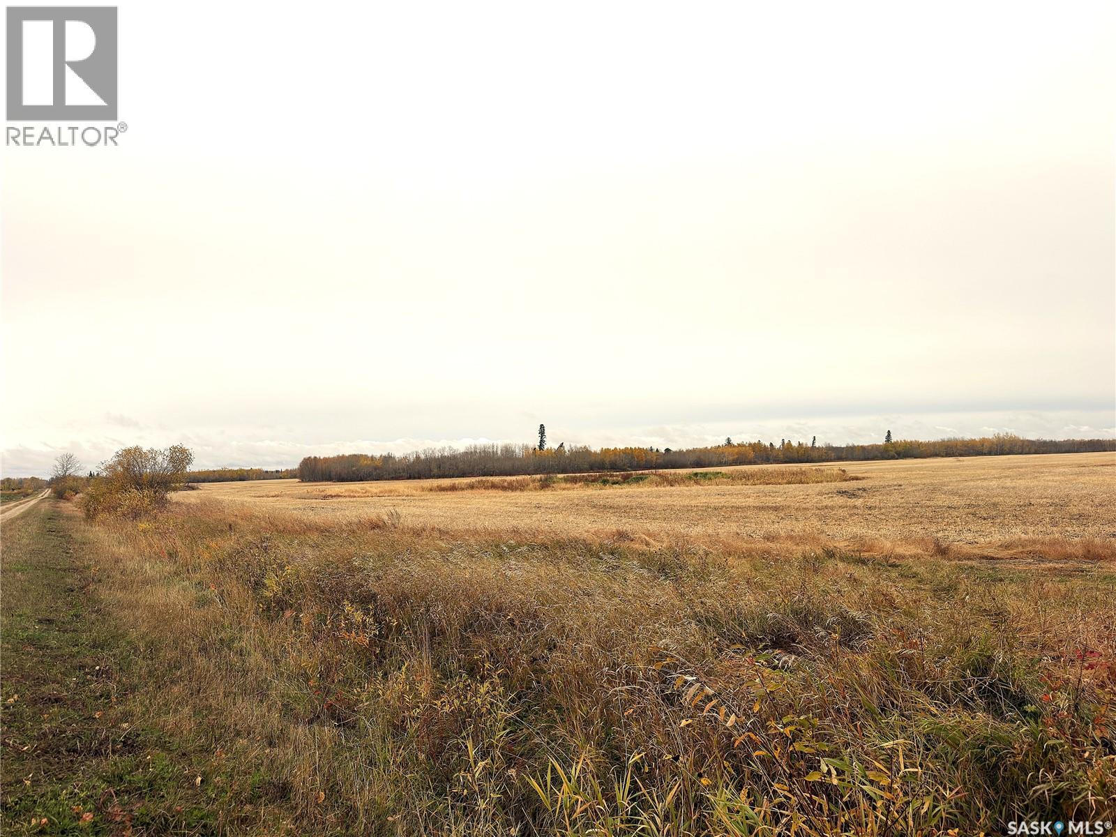 Hall Farmland, Hudson Bay Rm No. 394
