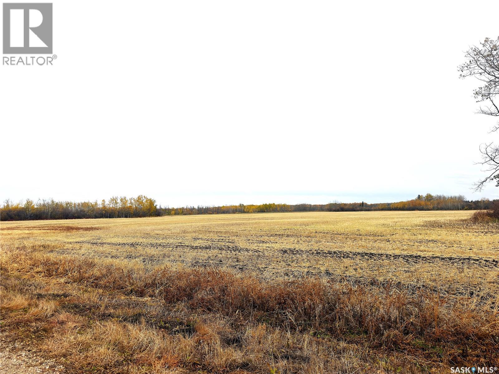 Hall Farmland, Hudson Bay Rm No. 394 — photo 6