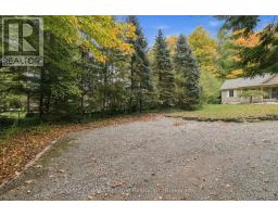 77376 Forest Ridge Road, Bluewater, ON N0M1G0 Photo 40