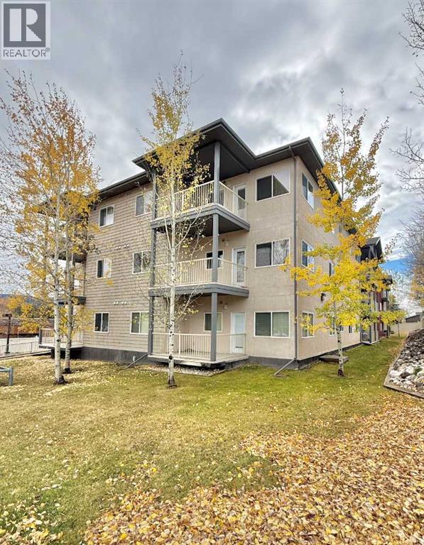 202, 109 Seabolt Drive, Hinton — photo 2