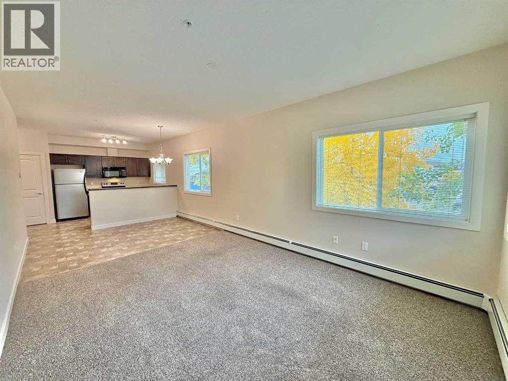 202, 109 Seabolt Drive, Hinton — photo 12