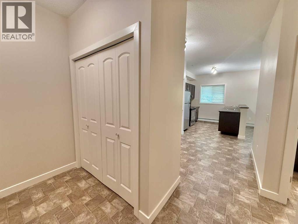202, 109 Seabolt Drive, Hinton — photo 7