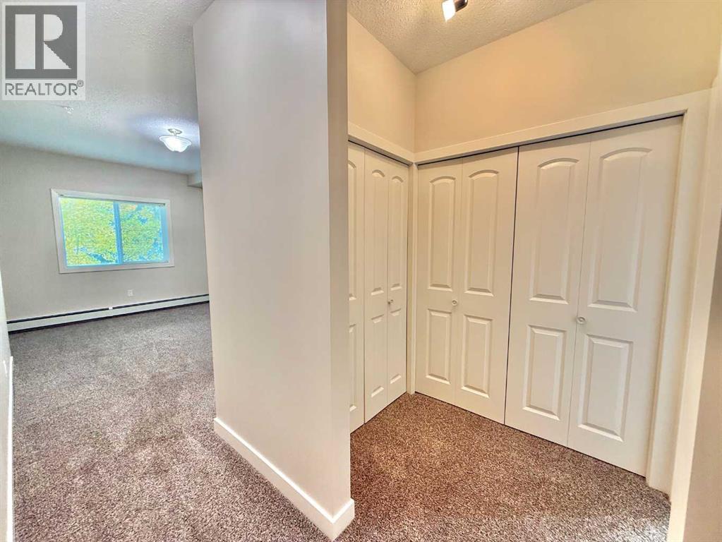 202, 109 Seabolt Drive, Hinton — photo 17