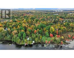 391 Long Lake Road, Tay Valley, ON K7H3C5 Photo 42