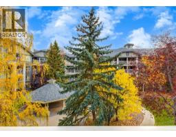 339, 35 Richard Court Sw, Calgary, AB T3E6R3 Photo 31