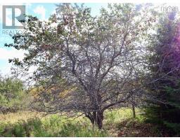 926 Intervale Road, Huntington, NS B1K1S7 Photo 6