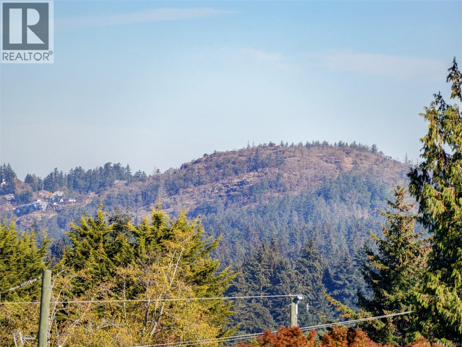 595 Delora Dr - 24