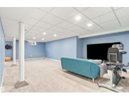 5312 101 Av Nw, Edmonton, AB T6A0G8 Photo 29