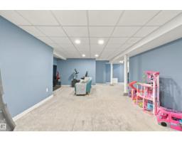 5312 101 Av Nw, Edmonton, AB T6A0G8 Photo 33