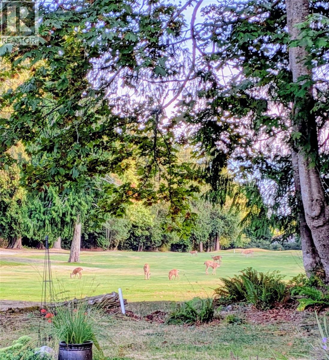 1176 Lee Rd, Parksville - Image 1