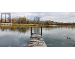 29 Willow Street, East Gwillimbury, ON L9N1J4 Photo 12