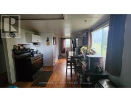 29 Willow Street, East Gwillimbury, ON L9N1J4 Photo 16