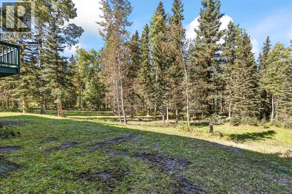 50098 East Park Place, Rural Rocky View County — photo 6