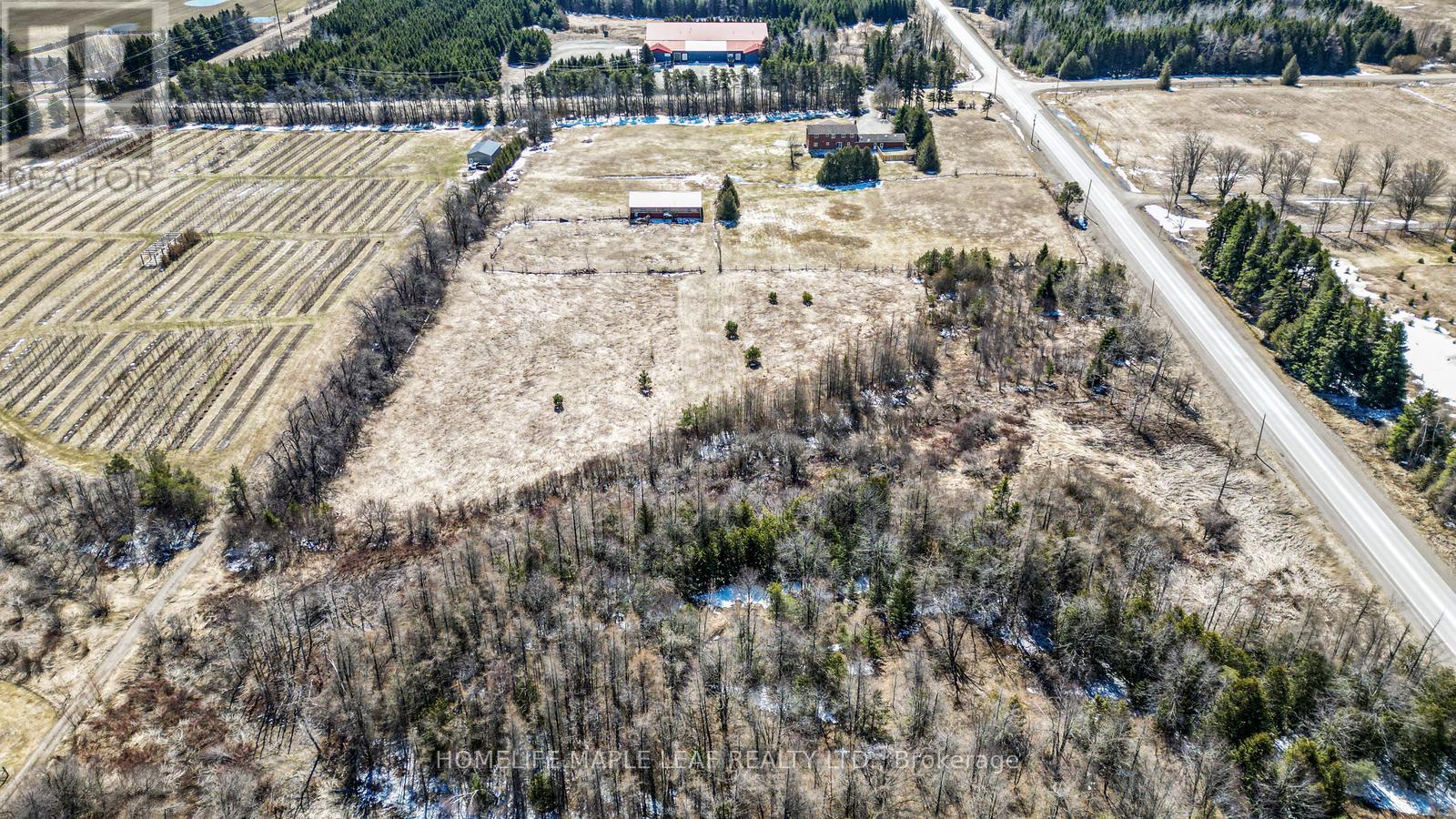 425279 25 Sideroad, Amaranth, ON photo 39