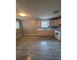 Lower 10595 159b Street, Surrey, BC V4N3J4 Photo 6
